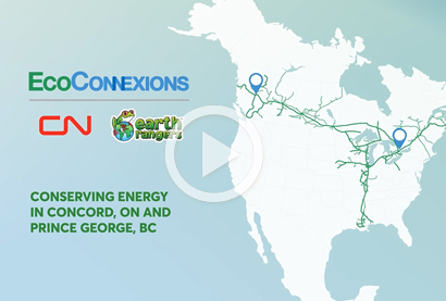 EcoChampions - Syed Tibu